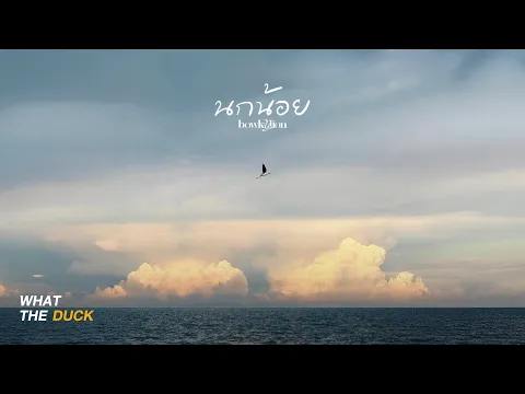 Video Thumbnail: BOWKYLION - นกน้อย (noknoi) Ost. ข้างบ้าน [Official Lyrics]