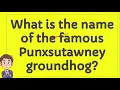 What is the name of the famous Punxsutawney groundhog