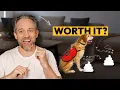 How to Allow Pets Without Risking Your Short Term Rental Property