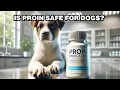 What Is Proin For Dogs Explained