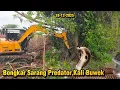 Lagu NGERI‼️ Bongkar Sarang Predator Hilir Kali Buwek | Ular Kabur Terbirit-birit