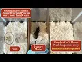 Grandpa Gus s Mouse Repellent Pouches Performance Test