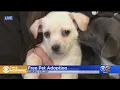 Free pet adoption day in Riverside County