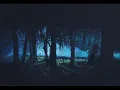 رحله عمرى - مصطفى كامل