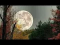 George Straight Cover Fool Hearted Sung By Bill Mitchell
