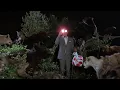 Download Lagu “Probably just a dog.” 😬 | Pee wee's Big Adventure (1985)