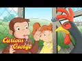 Lagu Curious George 🐓 George Goes to the Farm 🐓 Kids Cartoon 🐵 Kids Movies 🐵 Videos for Kids