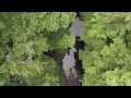【Deep Forest Bathing】The Silent Gorge　Soothing Moments: BGM & BGV