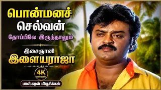 தோப்பிலே இருந்தாலும்/ பொன்மனச் செல்வன் /இசைஞானி இளையராஜா 🤍🤍🤍