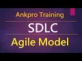Manual testing 7 - What is Agile model in software development life cycle and agile methodologies