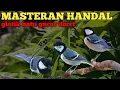 Download Lagu masteran handal glatik batu gacor full 1 jam mudah masuk paling ampuh 2024