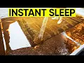 This WILL HELP You SLEEP Relaxing Rug Cleaning For Deep Sleep Stress Relief Anxiety Relief