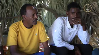 الأورطة قومية كلمات الحان واداء الفنان اوهاج احمد عزيمة إصرار بناء قاش 