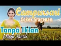 Tanpa iklan campursari sragenan view jalan desa tanpa iklan paling cokek Bass ger Full album 1 JAM