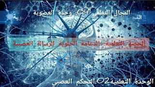 ملخص الدعامة الخلوية للرسالة العصبية 