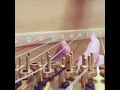 Harry Potter (Hedwig's Theme) - Birds'eye view on the Pedal Harp #shorts