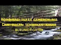 Download Lagu masteran kombinasi air mengalir dan suara tembakan kasar burung fighter