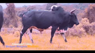 Ustaaz Kamaal Heebboo RABBI RAHMATA SIIF HAA GODHU 