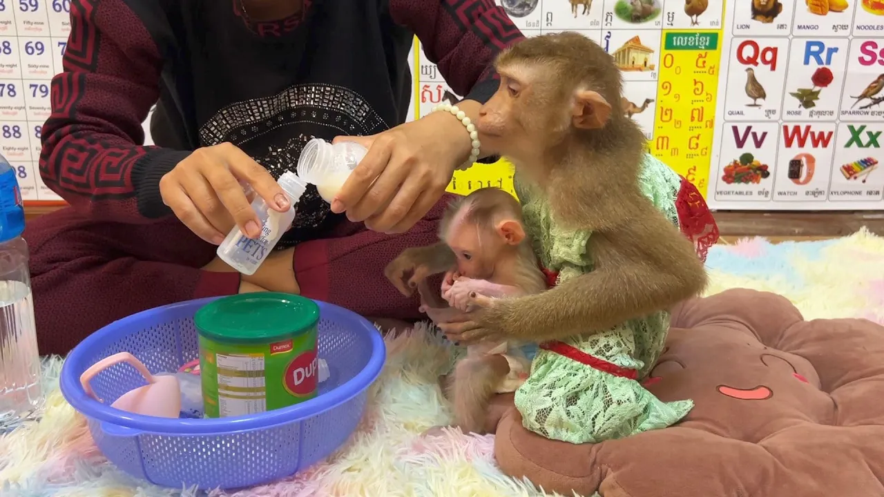 JUDEE, Mom’s Best Caretaker Attntively Take Care Lil JOYEE