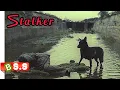 Stalker Movie Explained In Hindi IMDB 8 2