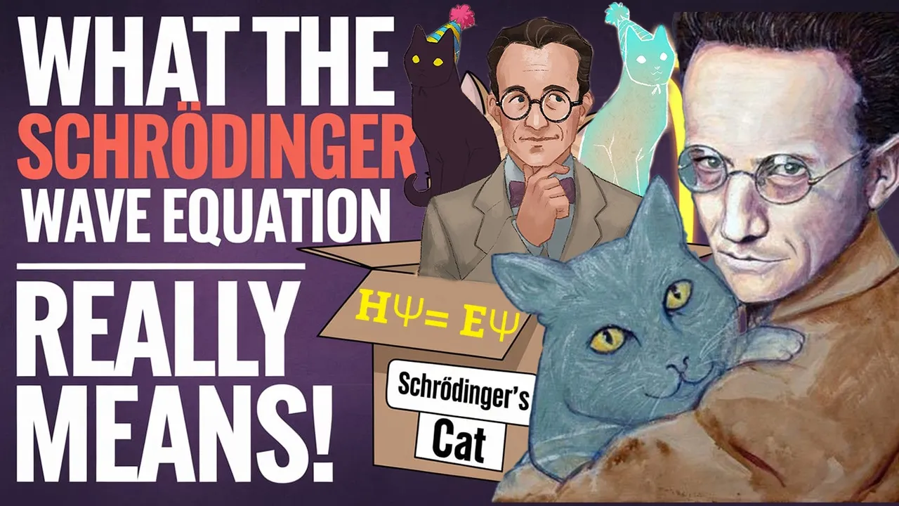 Schrodinger Wave Equation explained | Why Quantum Physics is so strange