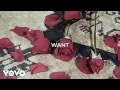 Morgan Wade - Want