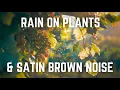 Download Lagu Heavy Rain On Plants \u0026 Satin Brown Noise | 12 Hours | Black Screen | No Midway Ads