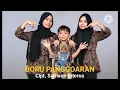 Lagu Boru Panggoaran - Samson Sitorus (Lagu Batak Terbaru 2025) || Official Music Audio 