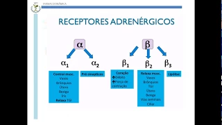 Agonistas Adrenérgicos Diretos