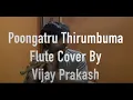 Lagu Poongatru Thirmbuma | Flute Instrumental By Vijay Prakash | Mudhal Mariyadhai