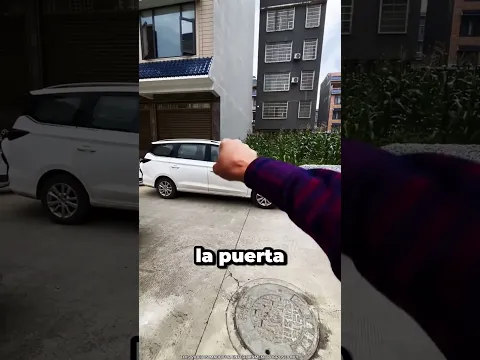 ¿Dónde Se Escondió Mi Perro 🤯
