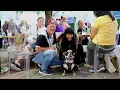 Imperial Session Hospital Tours 2024 Recap Shriners Children s Northern California
