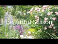 Download Lagu 《De perfecte tuin》Bloemen die bloeien in het mooiste seizoen *Belangrijk bericht《Tuinieren》