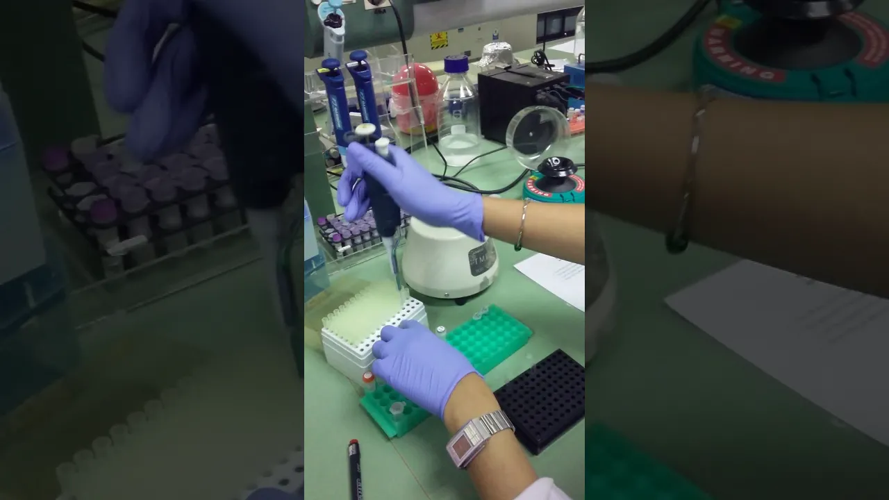 Coronavirus Test: Real time RT-PCR - Animation video. 