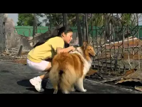 ตัวอย่าง มะหมา 4 ขาครับ Mid Road Gang trailer