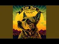 Download Lagu Santeria