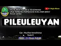 Download Lagu PILEULEUYAN. Instrumental Lirik \u0026 Terjemahan. Lagu Tembang Daerah Jawa Barat. Musik : VJ Raja Oloan