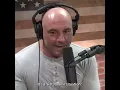 Joe Rogan Wants To Get Ratatouilled feat Ben Shapiro