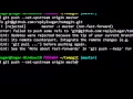 How to force push to remote repository in git