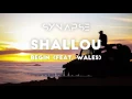 shallou - Begin (feat. Wales)