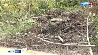 Омичи жалуются на свалки мусора во дворах