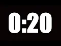20 SECOND TIMER LOUD ALARM