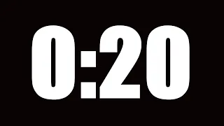 20 SECOND TIMER LOUD ALARM