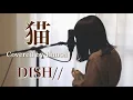 Download Lagu 猫／DISH//【Covered by Hanon】