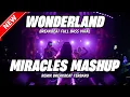 DJ WONDERLAND X MIRACLES MASHUP BREAKBEAT REMIX FULL BASS VERSION 2025