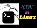 Types of Shell in Linux Hindi Bash Shell vs C Shell vs K Shell vs Z Shell Technical Broker