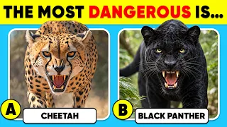 How Well Do You Know Animals? 🐯🦁✅ Ultimate Animal Trivia Challenge
