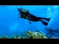 Download Lagu SIPADAN is for divers?  -  4K