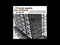 Download Lagu Triosk || Jan Jelinek || 1+3+1 (2003) Full Album