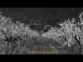 Tim Dup - Si je m'écoutais vraiment (Clip officiel)